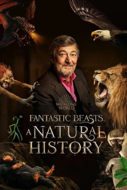 Fantastic Beasts: A Natural History (2022) - Subtitrat in Romana