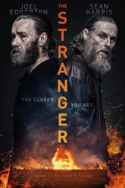 The Stranger (2022) - Subtitrat in Romana