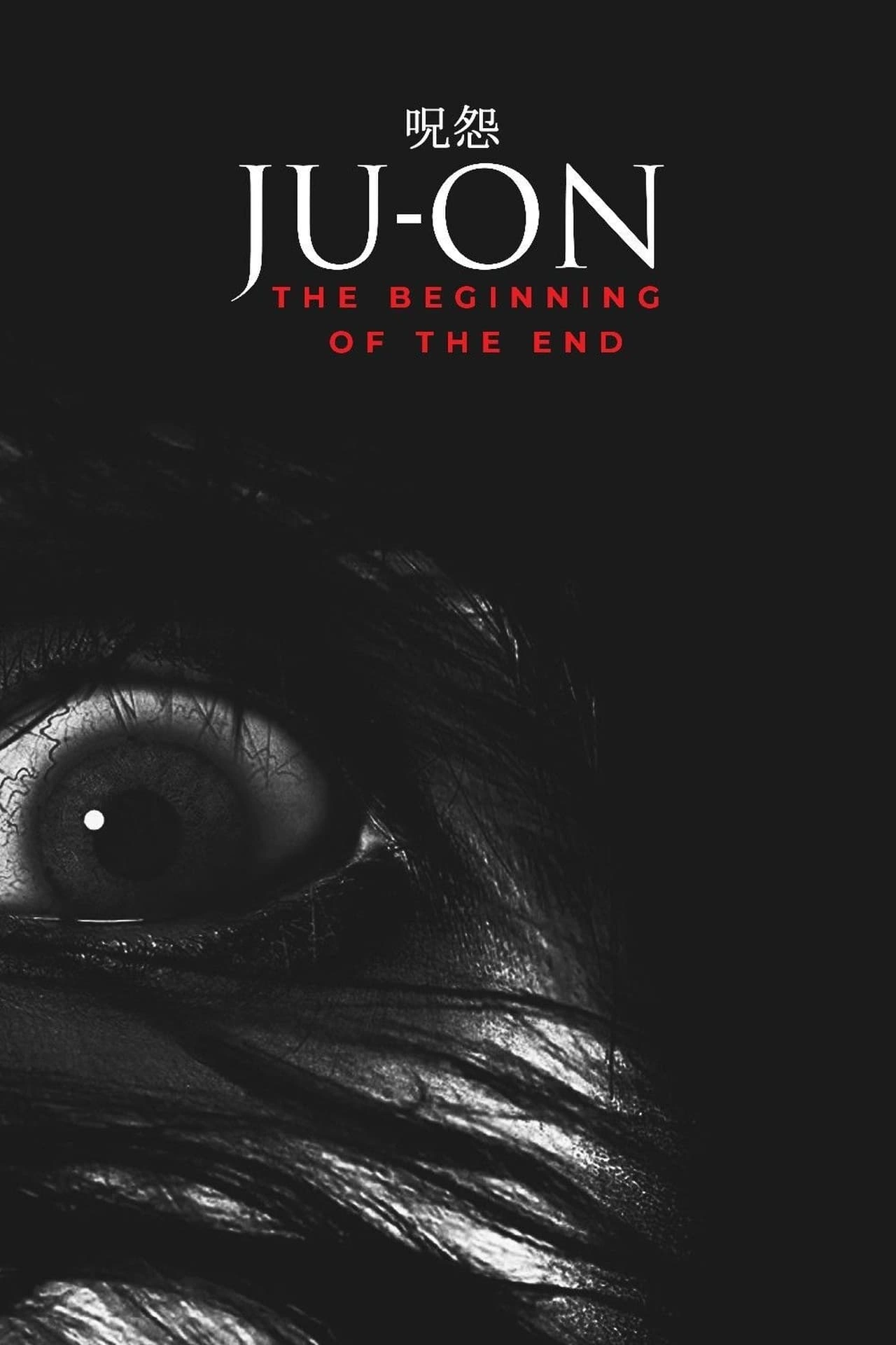 Vizioneaza Ju-on: The Beginning of the End (2014) - Subtitrat in Romana
