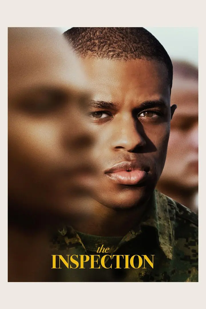 Inspection (2018)