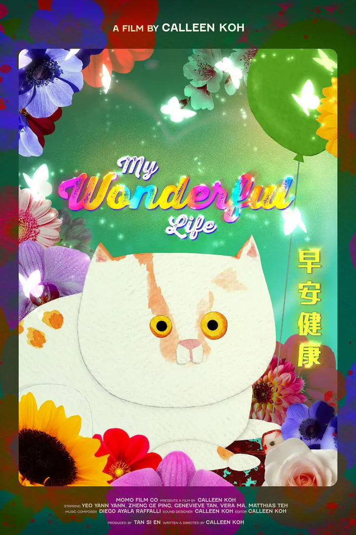 My Wonderful Life (2021)