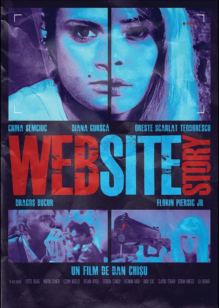 WebSiteStory (2010) - Online in Romana