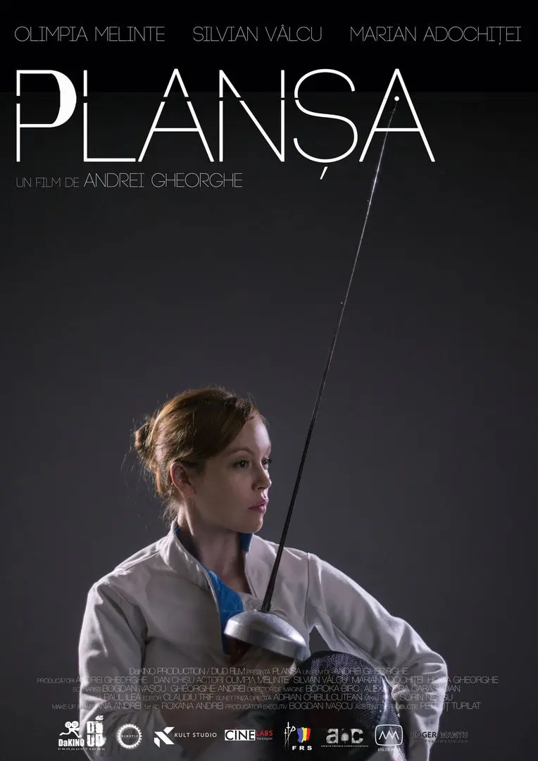 Plansa (2013)