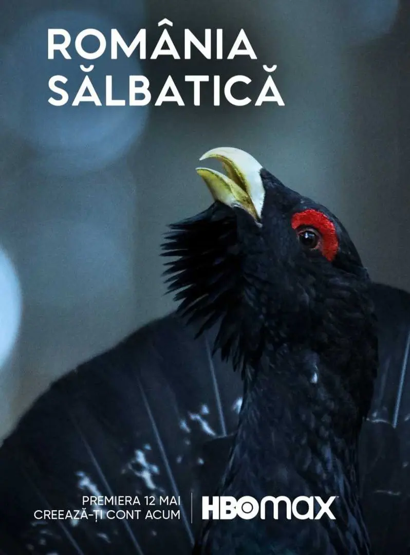 România sălbatică (2021)