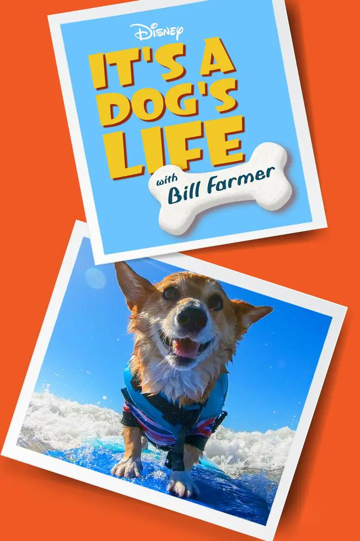 It's a Dog's Life with Bill Farmer (2020)