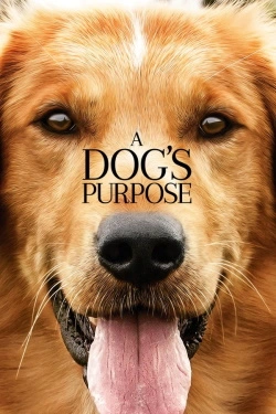 A Dog's Purpose (2017) - Subtitrat in Romana