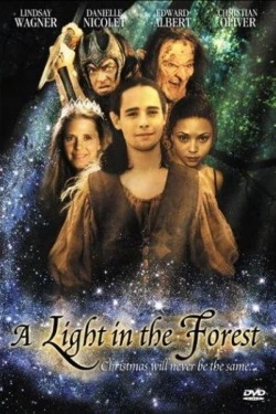 A Light in the Forest (2003) - Subtitrat in Romana