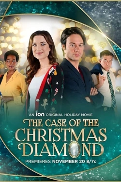 The Case of the Christmas Diamond (2022) - Subtitrat in Romana