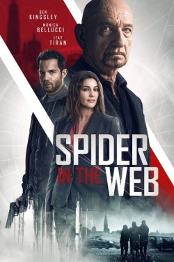 Spider in the Web (2019) - Subtitrat in Romana