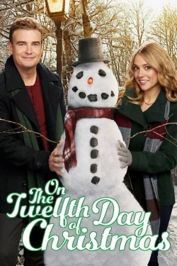 Vizioneaza On the Twelfth Day of Christmas (2015) - Subtitrat in Romana