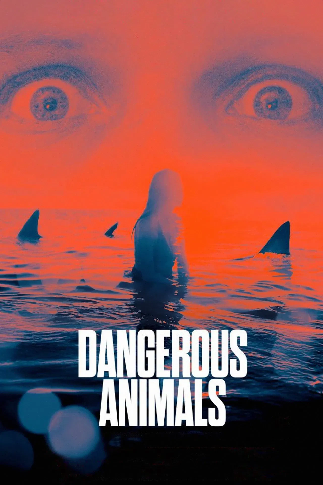 Vizioneaza Dangerous Animals (2025) - Subtitrat in Romana