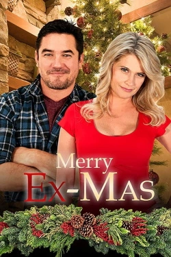 Merry Ex-Mas (2014) - Subtitrat in Romana