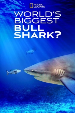 Vizioneaza World's Biggest Bull Shark? (2021) - Subtitrat in Romana