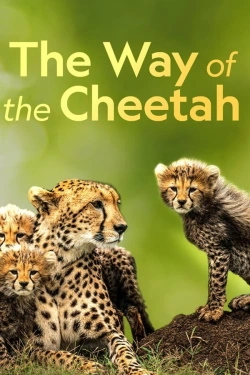 Vizioneaza The Way of the Cheetah (2022) - Subtitrat in Romana