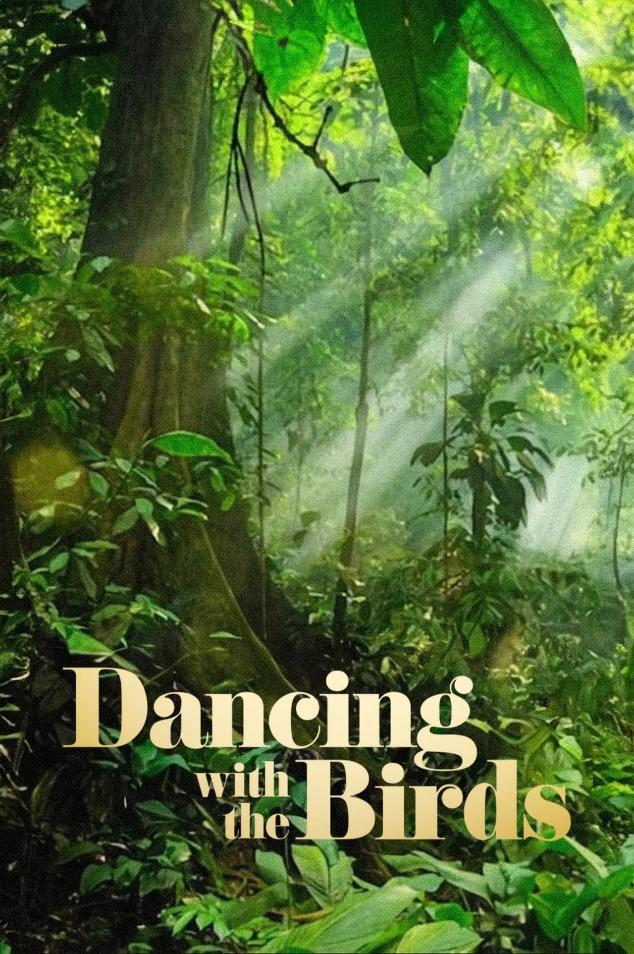 Vizioneaza Dancing with the Birds (2019) - Subtitrat in Romana