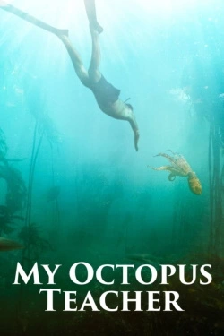 My Octopus Teacher (2020) - Subtitrat in Romana