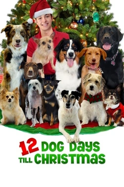 12 Dog Days Till Christmas (2014) - Subtitrat in Romana