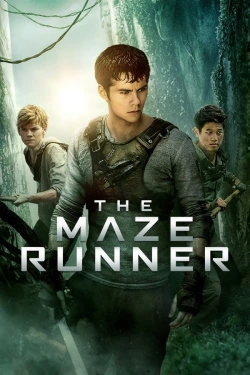 The Maze Runner (2014) - Subtitrat in Romana