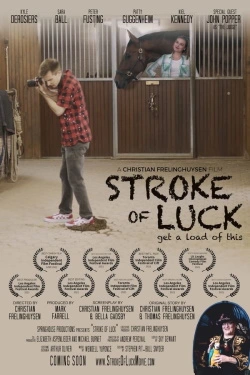 Stroke of Luck (2022) - Online Subtitrat