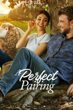 A Perfect Pairing (2022) - Subtitrat in Romana