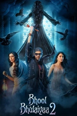 Bhool Bhulaiyaa 2 (2022) - Subtitrat in Romana