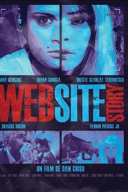 WebSiteStory (2010) - Online in Romana
