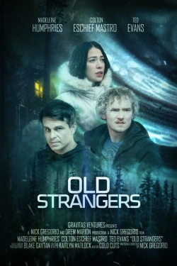 Vizioneaza Old Strangers (2022) - Online Subtitrat