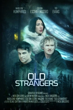 Old Strangers (2022) - Online Subtitrat