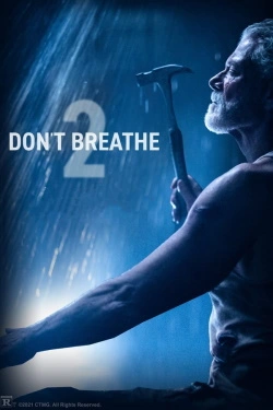Don't Breathe 2 (2021) - Subtitrat in Romana