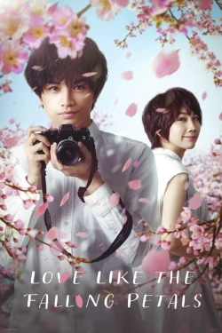 Love Like the Falling Petals (2022) - Subtitrat in Romana