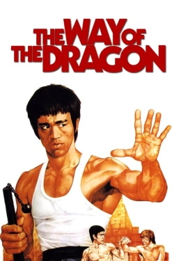 Vizioneaza The Way of the Dragon (1972) - Subtitrat in Romana