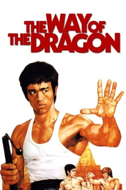 The Way of the Dragon (1972) - Subtitrat in Romana