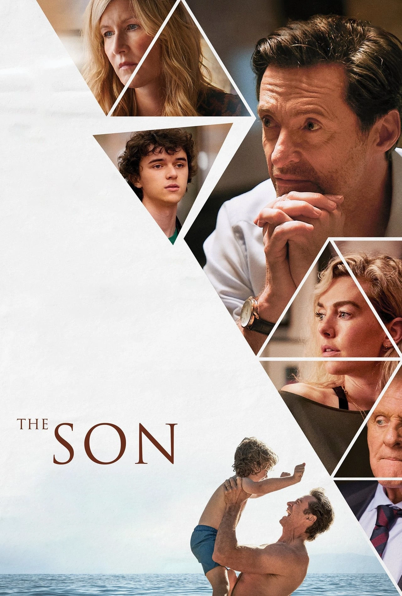 Vizioneaza The Son (2022) - Subtitrat in Romana