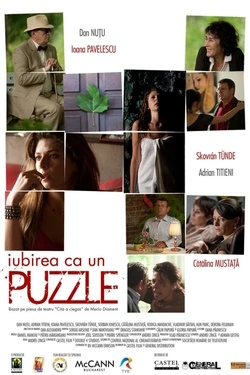 Vizioneaza Puzzle (2013) - Online in Romana