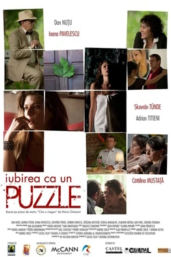 Puzzle (2013) - Online in Romana