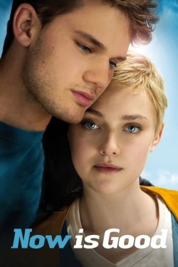 Now Is Good (2012) - Subtitrat in Romana