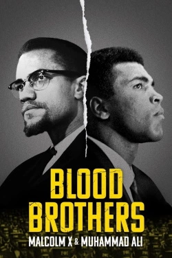 Vizioneaza Blood Brothers: Malcolm X & Muhammad Ali (2021) - Subtitrat in Romana