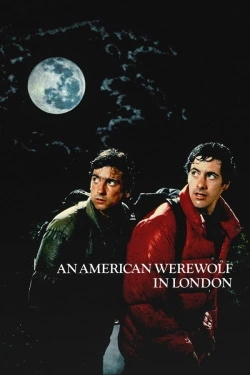 An American Werewolf in London (1981) - Subtitrat in Romana