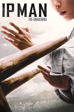 Ip Man: The Awakening (2022) - Subtitrat in Romana