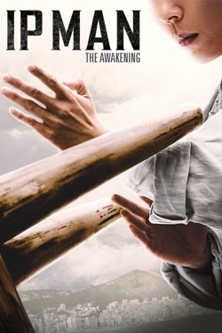 Vizioneaza Ip Man: The Awakening (2022) - Subtitrat in Romana