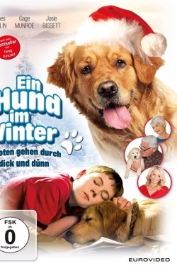 Christmas with Tucker (2014) - Subtitrat in Romana