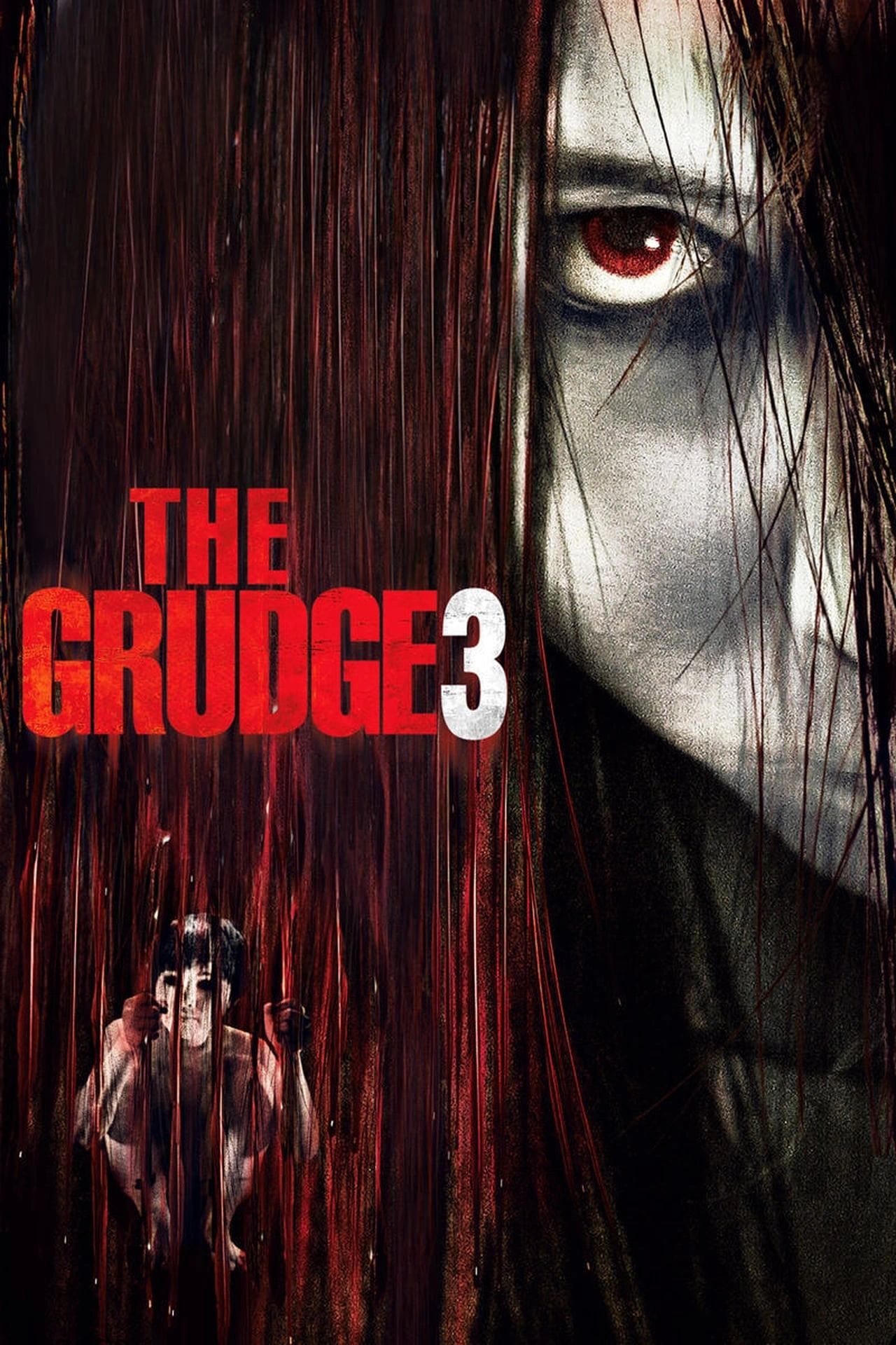 Vizioneaza The Grudge 3 (2009) - Subtitrat in Romana