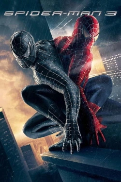 Vizioneaza Spider-Man 3 (2007) - Subtitrat in Romana