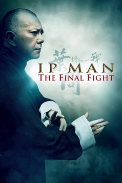 Ip Man: The Final Fight (2013) - Subtitrat in Romana