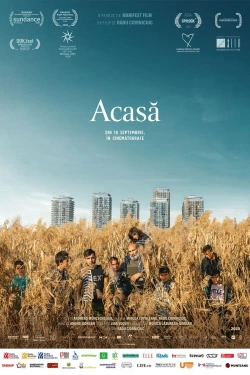 Acasa My Home (2000) - Online in Romana