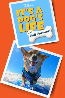 Vizioneaza It's a Dog's Life with Bill Farmer (2020) - Subtitrat in Romana