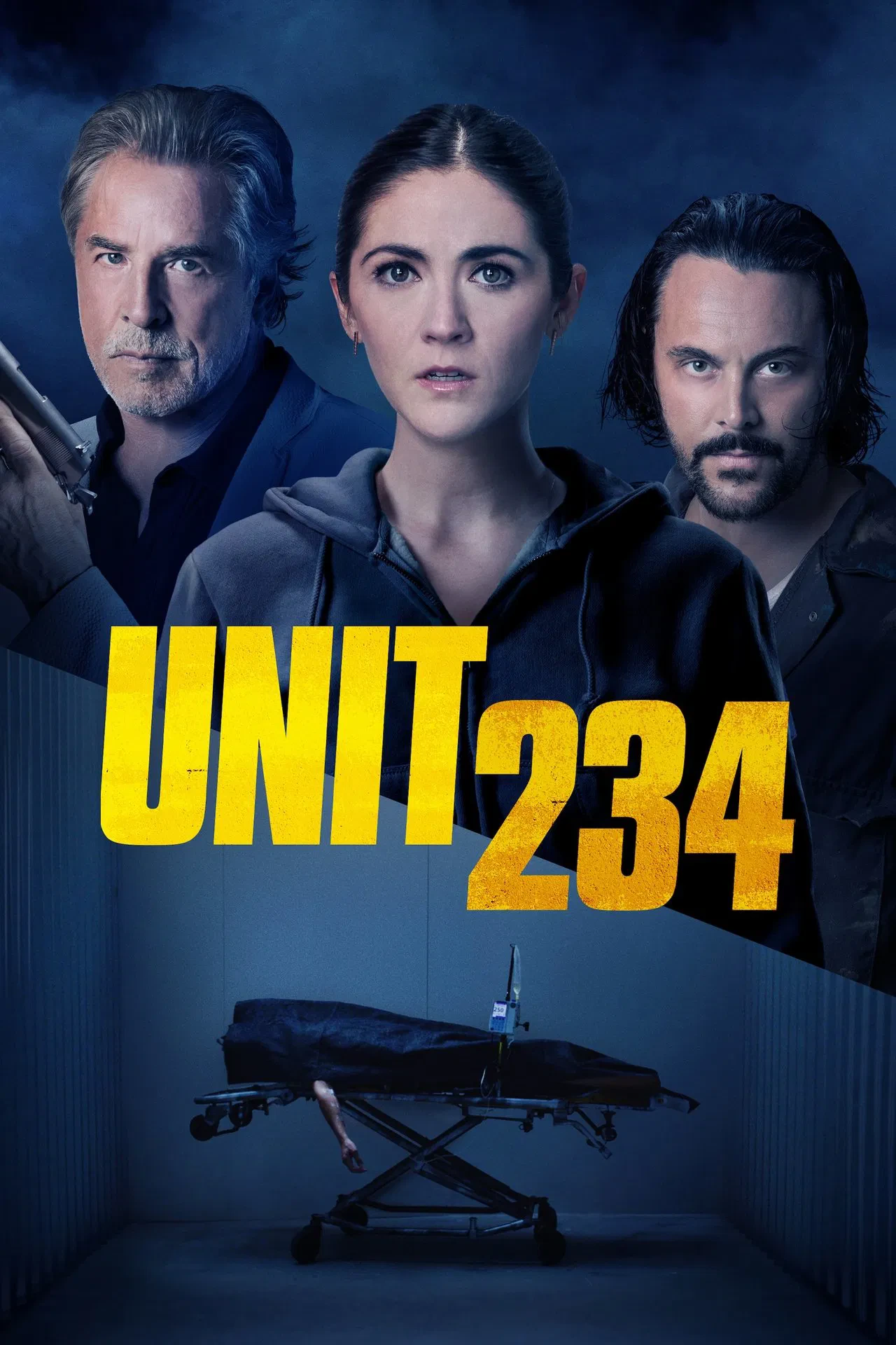 Vizioneaza Unit 234 (2024) - Subtitrat in Romana