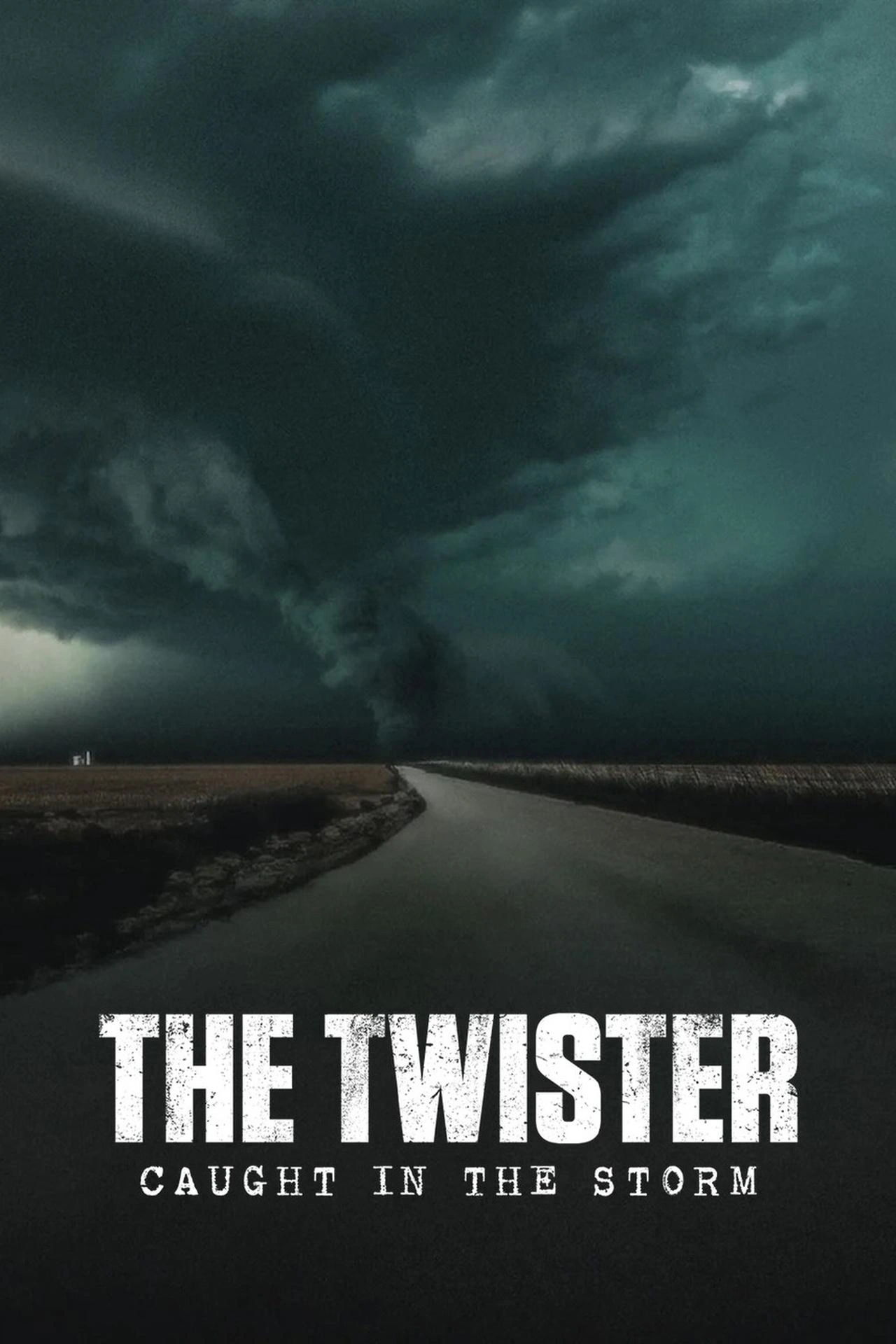 Vizioneaza The Twister: Caught in the Storm (2025) - Subtitrat in Romana