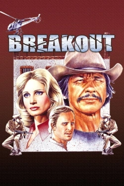 Breakout (1975) - Subtitrat in Romana