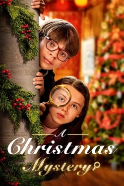 Vizioneaza A Christmas Mystery (2022) - Subtitrat in Romana